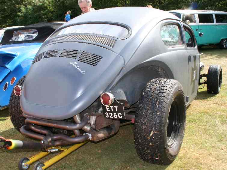 Wagon Beetle